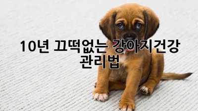 🐶 10년 끄떡없는 #강아지건강 관리법🐶