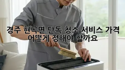 경주 현곡면 단독 청소 서비스 가격, 어떻게 정해야 할까요?