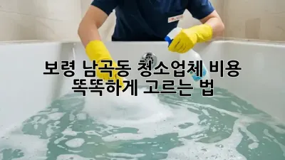 보령 남곡동 청소업체 비용💰 똑똑하게 고르는 법!