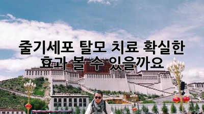 줄기세포 탈모 치료: 확실한 효과 볼 수 있을까요?