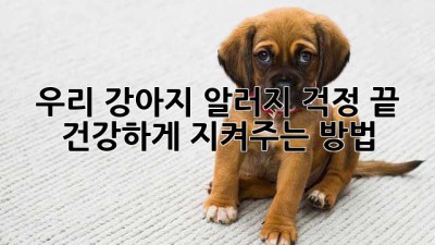우리 강아지, 알러지 걱정 끝! 건강하게 지켜주는 방법